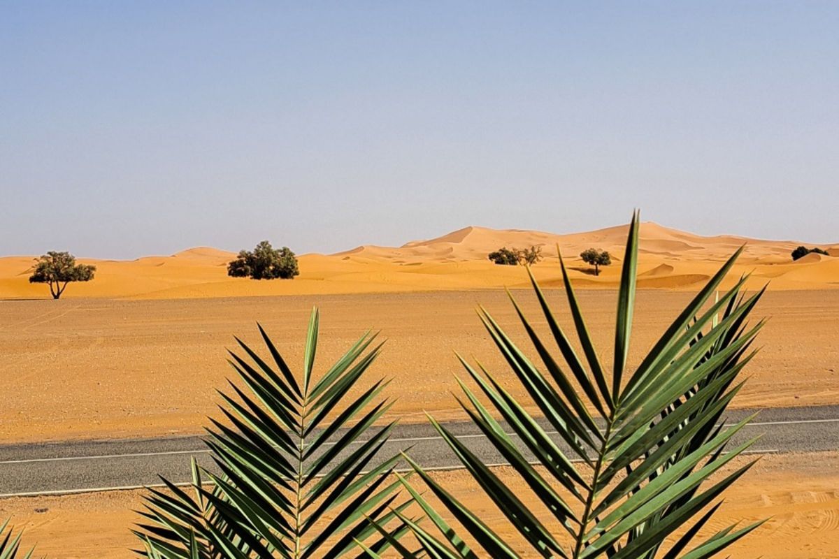 fes to desert